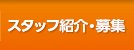 スタッフ紹介・募集